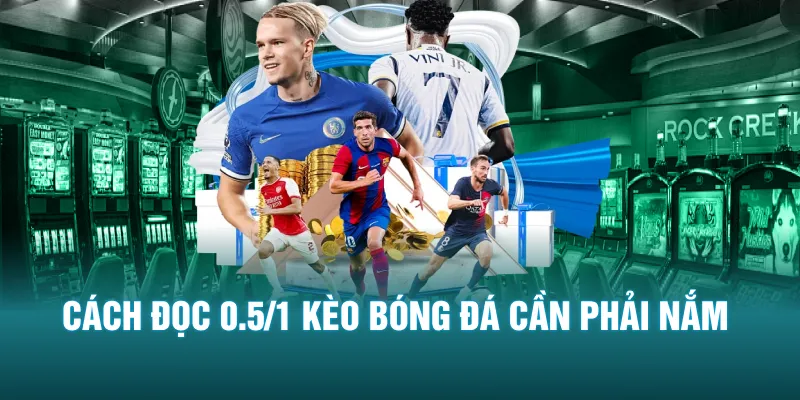Cách đọc 0.5/1 kèo bóng đá cần phải nắm