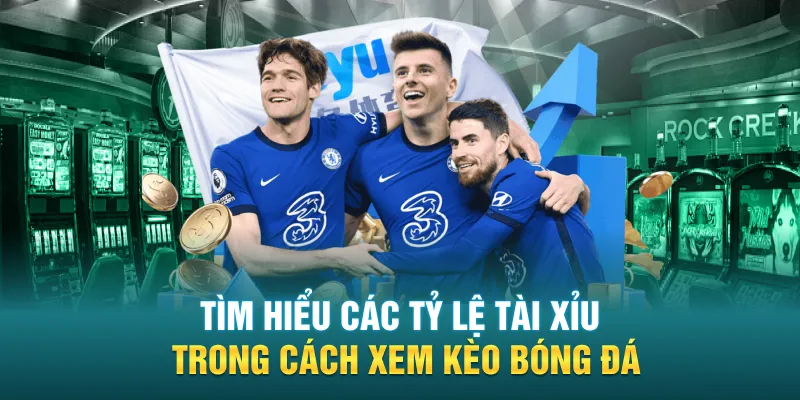 Tìm hiểu các tỷ lệ tài xỉu trong cách xem kèo bóng đá